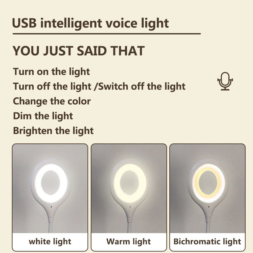 LED Smart Voice Control Night Light USB